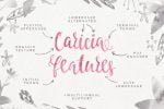Caricia Font