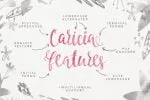 Caricia Font