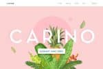 Carino - A Modern Elegant Sans Serif