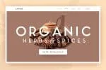 Carino - A Modern Elegant Sans Serif