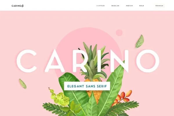 Carino Sans Font