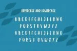 Carita Font
