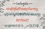 Carlagata Font