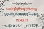 Carlagata Font