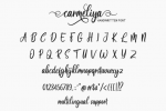 Carmeliya Font