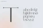 Carmilla Sans Serif Font