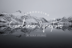 Carolina Signature Font