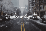 Carolina Signature Font