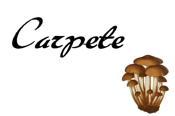 Carpete Font