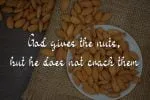 Carribean Nut Font