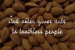 Carribean Nut Font