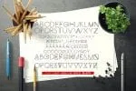 Carrinady Logotype Font