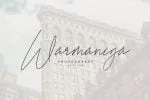 Carry - Calligraphy Script Font