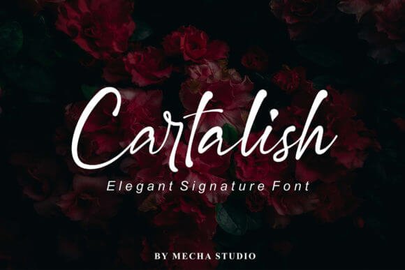 Cartalish Font
