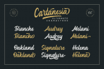 Cartanesia Font