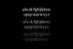 Carolin Font