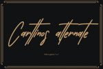 Carttinos Signature Typeface