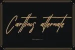 Carttinos Signature Typeface