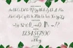 Casandrela Font
