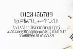 Cason Font