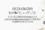 Cason Family Font