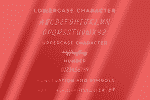 Castila Signature Font