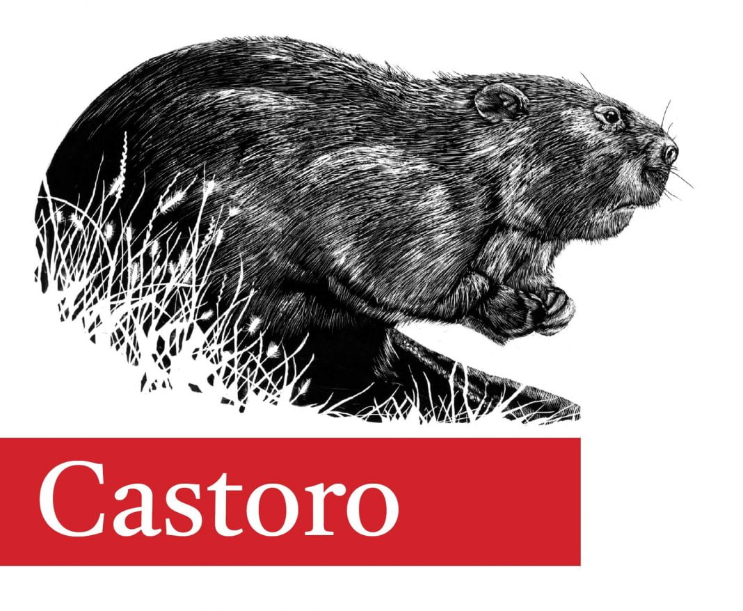 Castoro font
