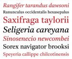 Castoro font