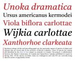 Castoro font