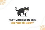 Cat Boys Font