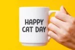 Cat Boys Font