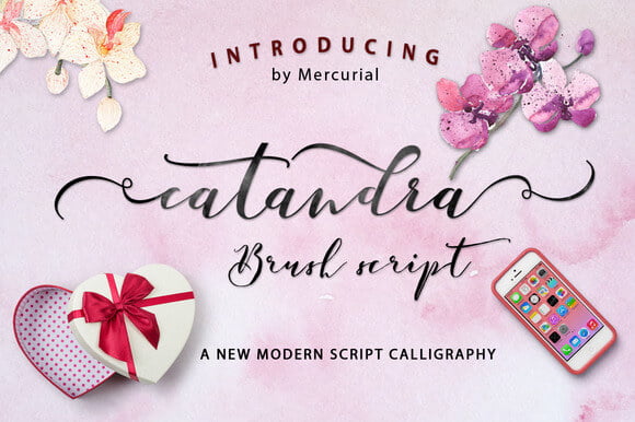 Catandra Script Font