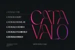 Catavalo - Modern Display Family
