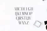 Catheryn Font