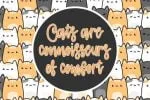 Cattie Font