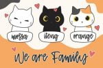 Cattie Font