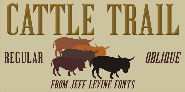 Cattle Trail Jnl Font