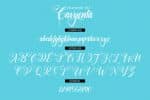 Cavyenta Font