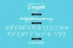 Cavyenta Font