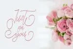 Cecilia Script Font