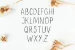 Ceica Duo Font