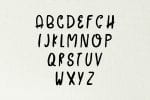 Ceica & Fabeena Font
