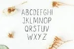 Ceica & Fabeena Font