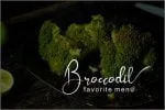 Celosia Font