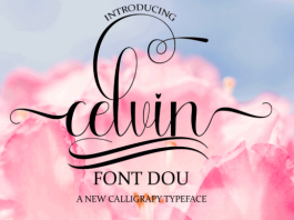 Celvin Font