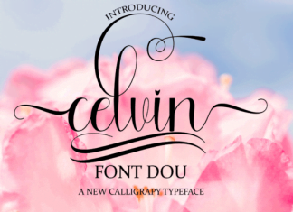 Celvin Font