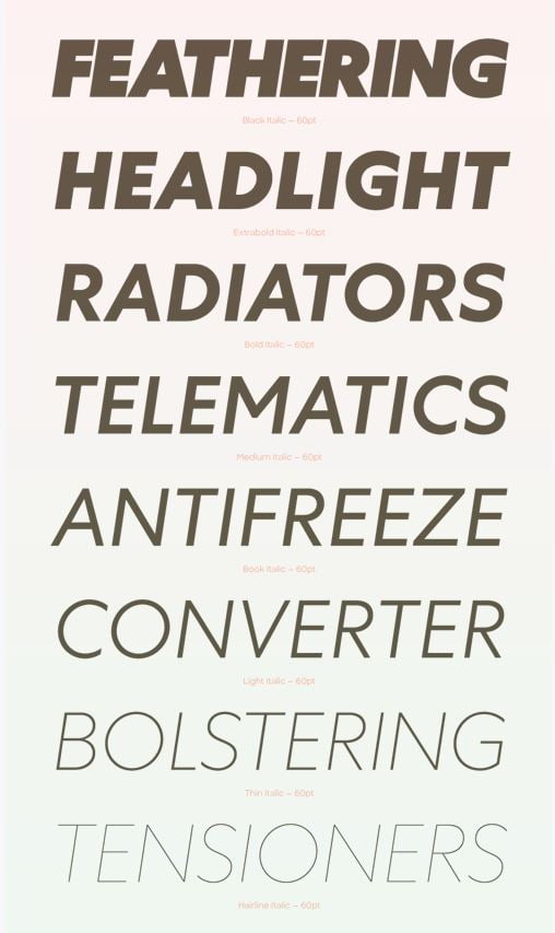 Centra n°1 family Sharp type