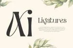 Ceria - Modern Vintage Font