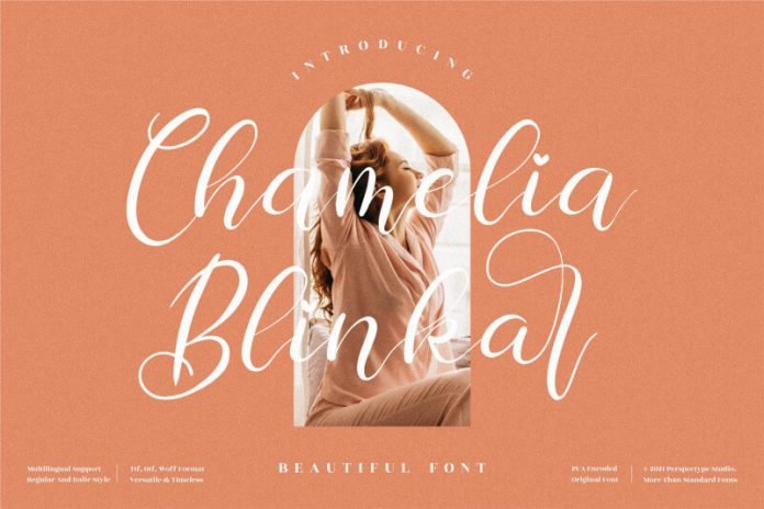 Chamelia Blinkar Font