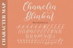 Chamelia Blinkar Font